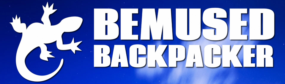 bermused back